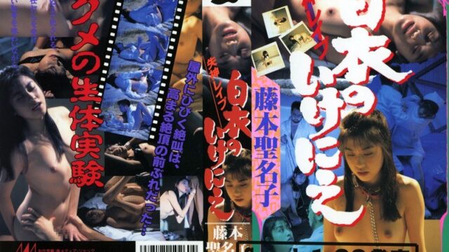 失神レイプ 白衣のいけにえ 藤本聖名子